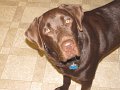 2010-04_21 Hemi_0035